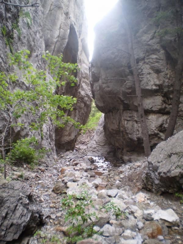 refrigcanyon_zps0953f9cc.jpg
