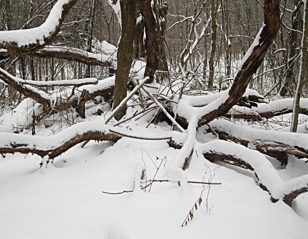 20120121_ac_0004.jpg