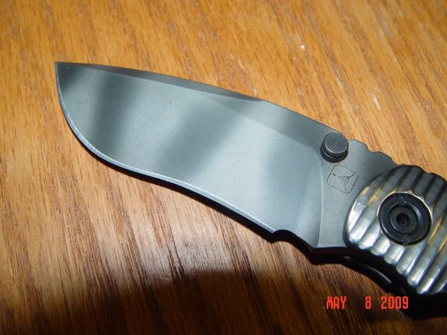 DSC00339.jpg