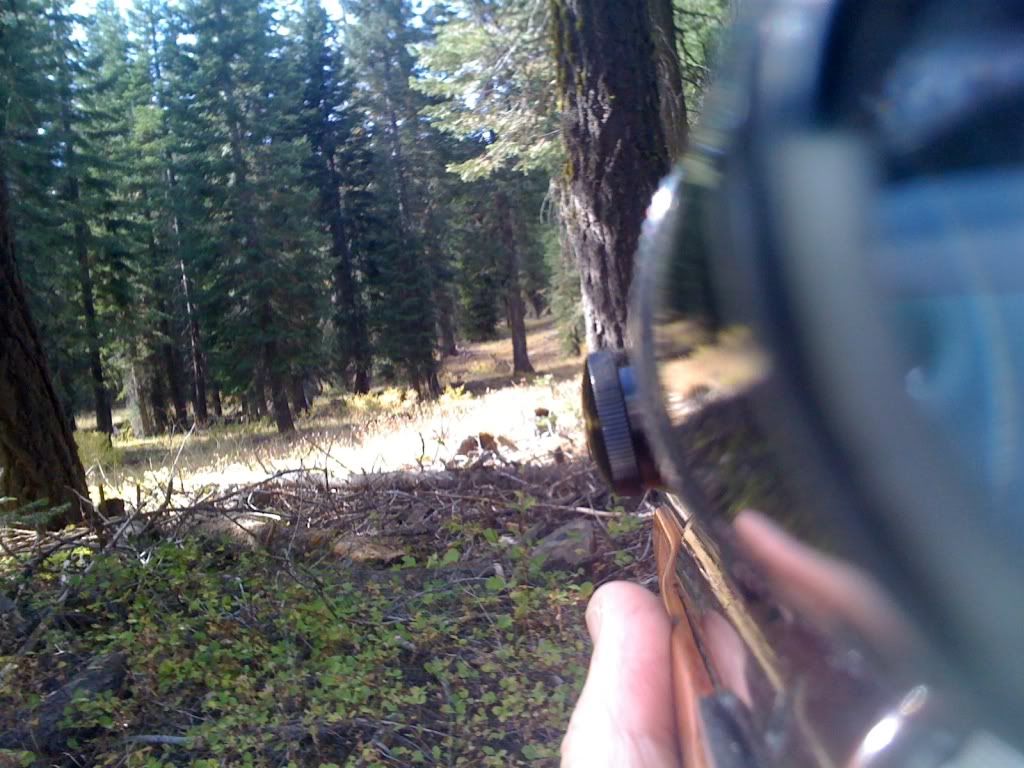 Picture145.jpg