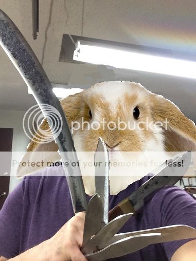 Untitled_zps5223dfbf.jpg~original