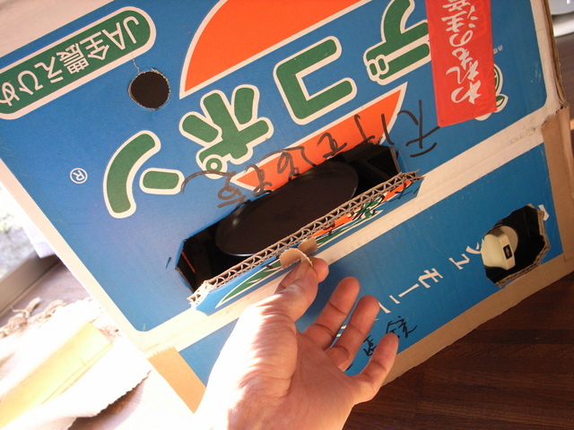 2010.01.03.r0019726.jpg