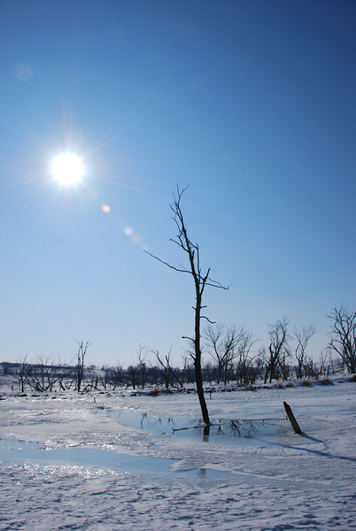 780358456_KoVm9-L.jpg