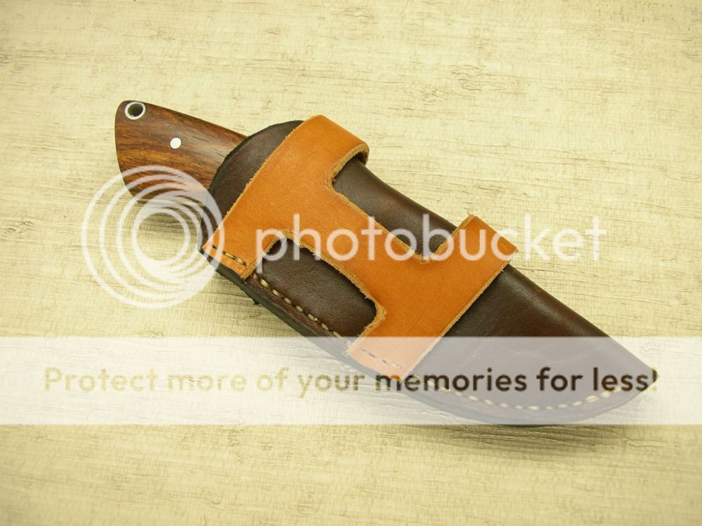 IMGP2180_zps25022ae0.jpg