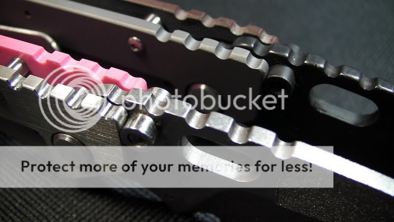 2xBuck889_07.jpg