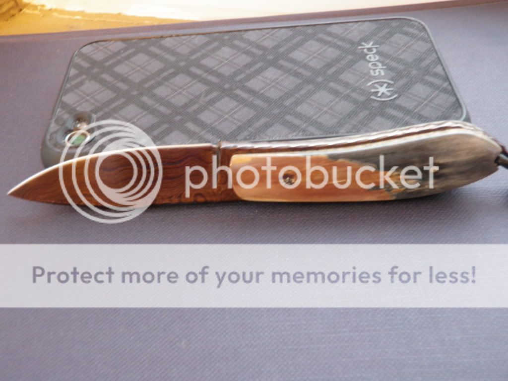 PC260235.jpg