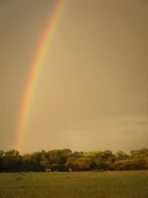 DSCF2074.jpg