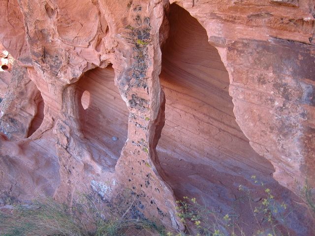 IMG_2554.jpg