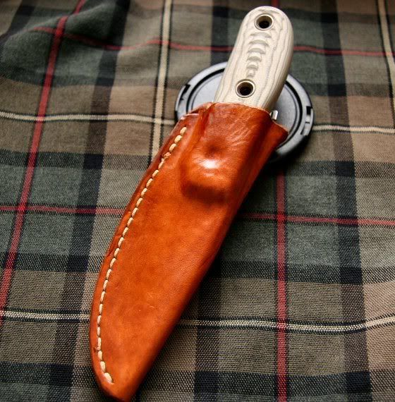 GW_sheath2.jpg
