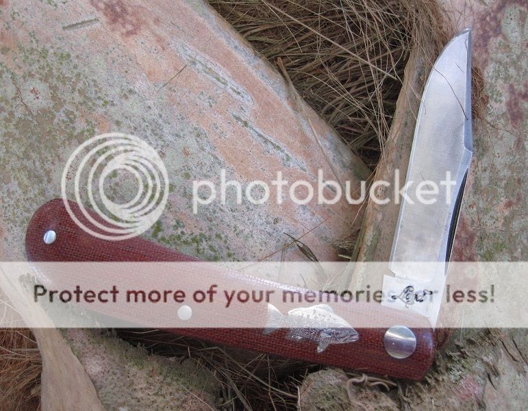 IMG_3172_zpsb8663dbf.jpg~original