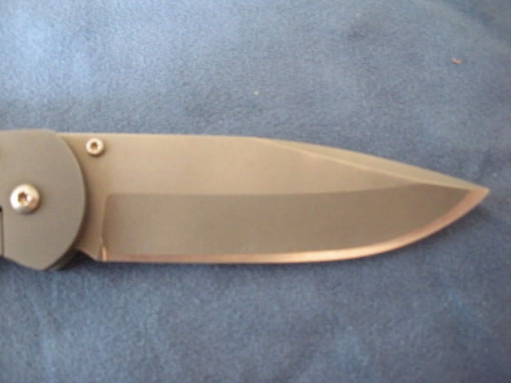DSCN0303.jpg