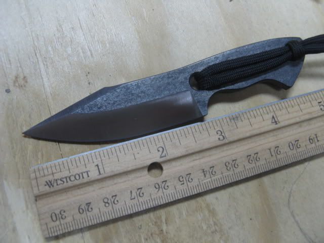 necker010.jpg