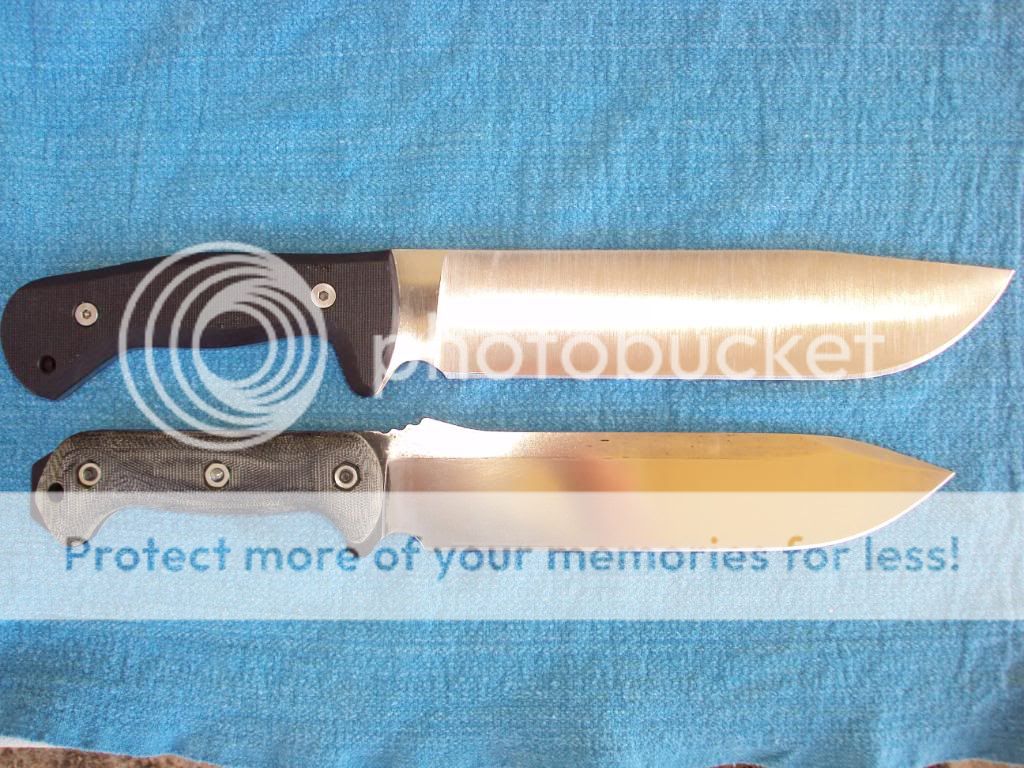 Picture001.jpg
