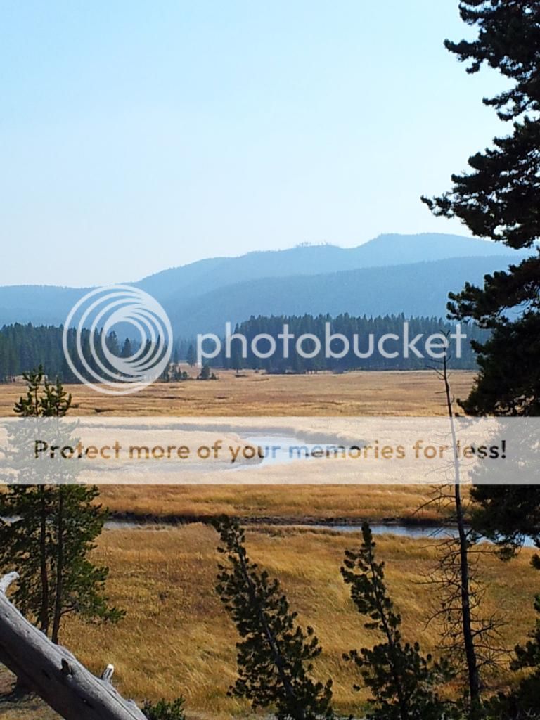 20120918_145626_zps72505ef1.jpg