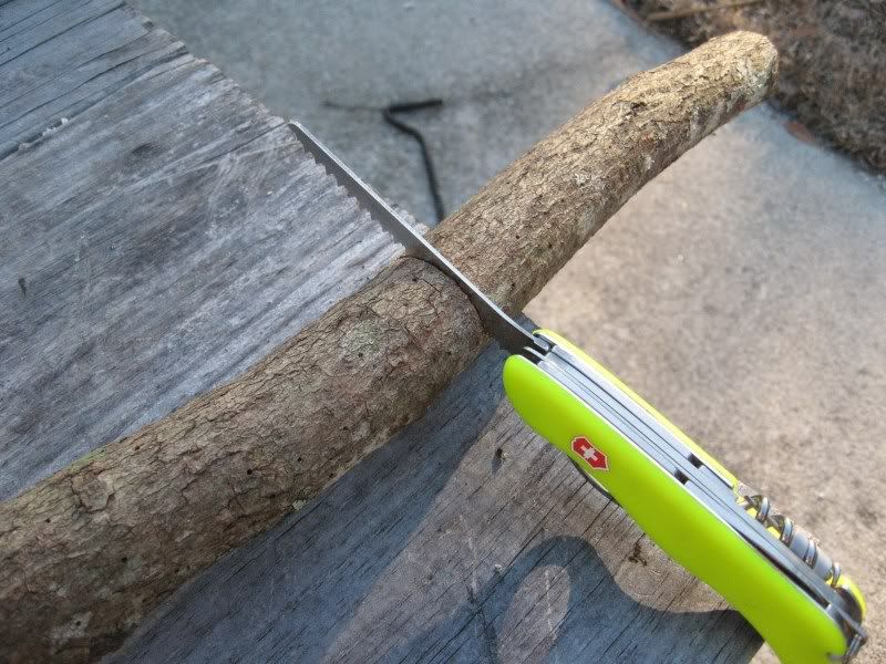 Saws007.jpg