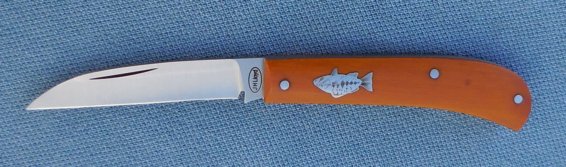 DSCN2742_zps973e60dc.jpg