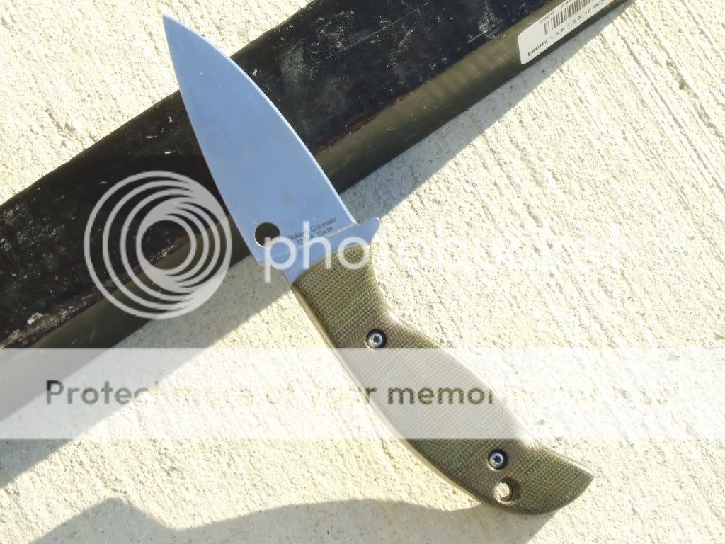 knifeg2JPG.jpg
