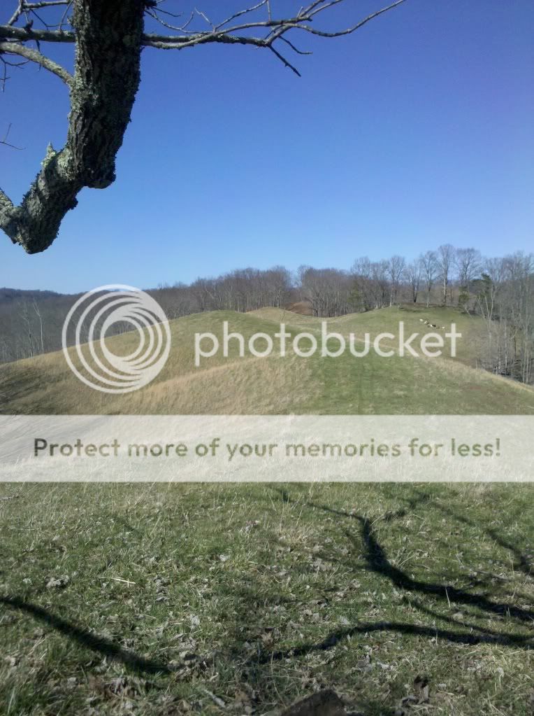 2012-03-101446273.jpg