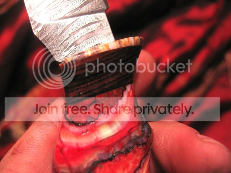 Knives15240.jpg