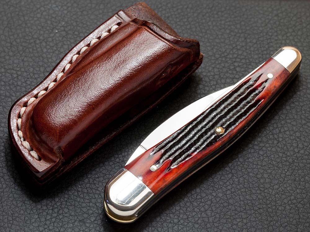 Seahorse_sheath3.jpg~original