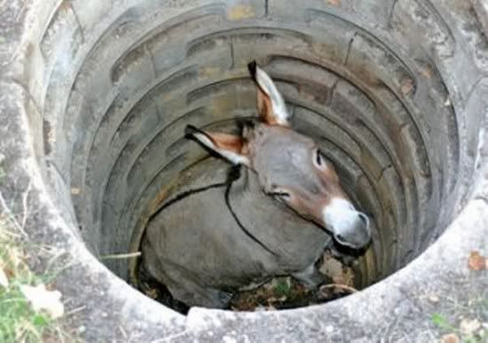 imagesass-20hole-small.jpg