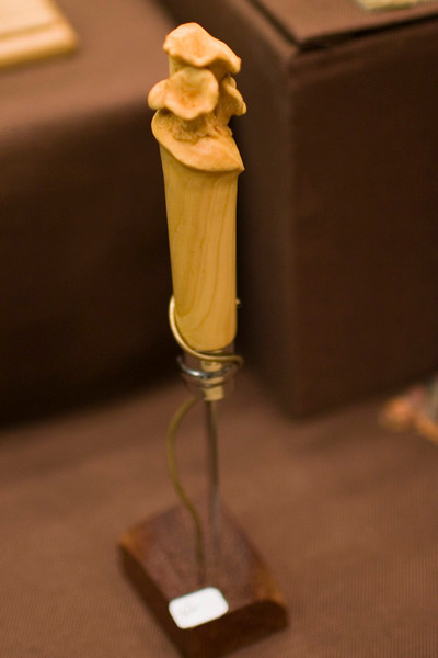 384348386_dFvKT-L.jpg