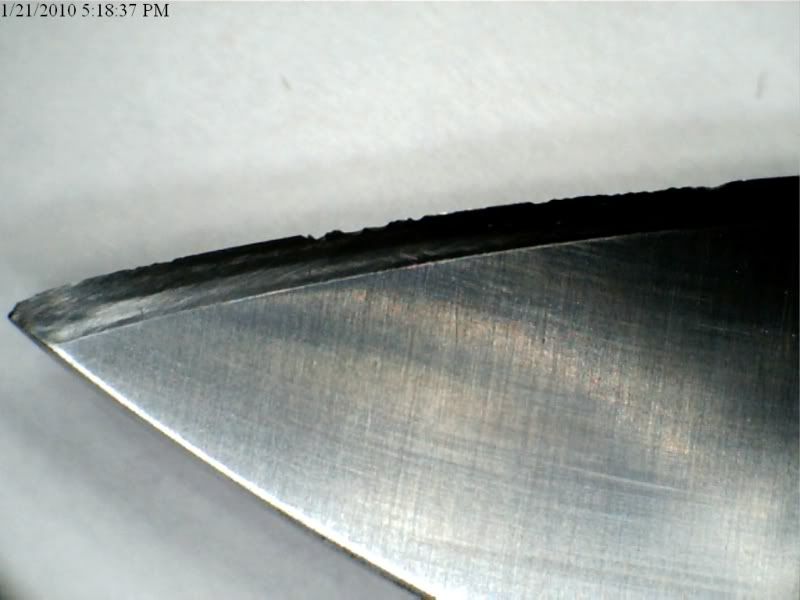 spydercoedge.jpg