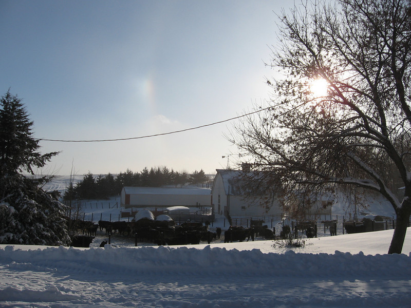 452932534_wyLxF-L.jpg