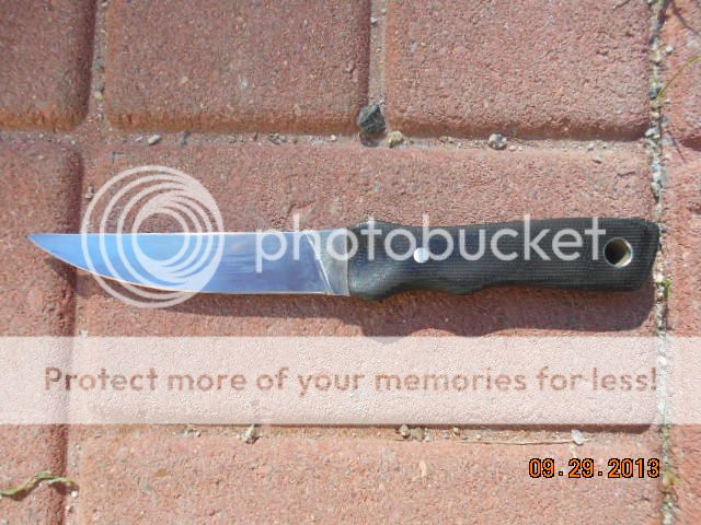 DSCN0261.jpg