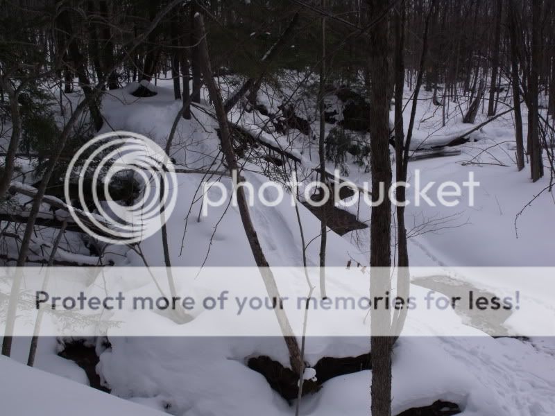 Febweekendsnowshoeing030.jpg