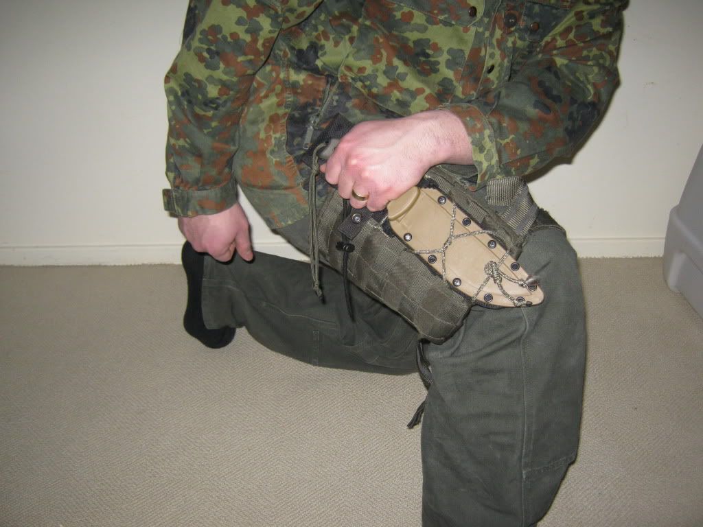 006.jpg