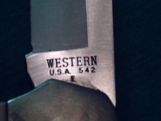 5421.jpg
