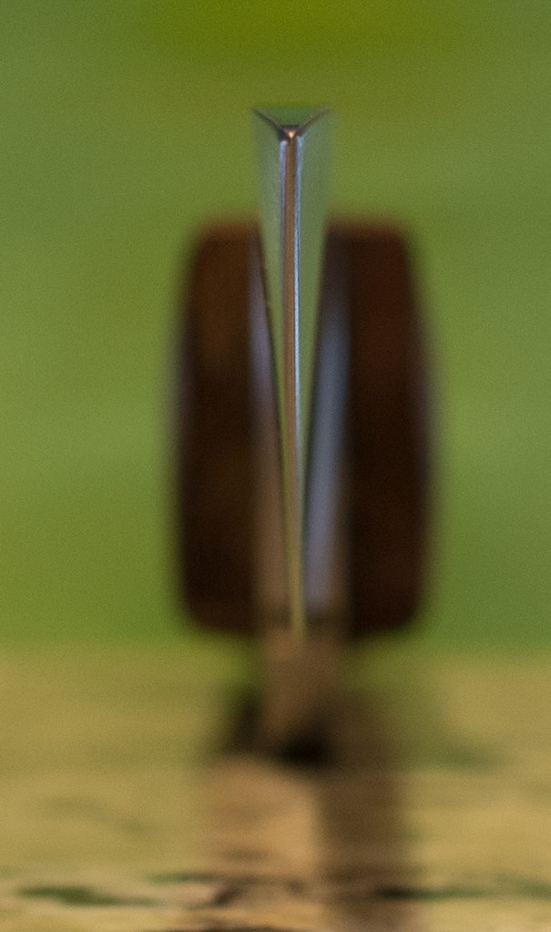 6986300019_d49c69575e_b.jpg