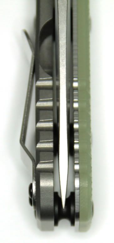 551_3.jpg