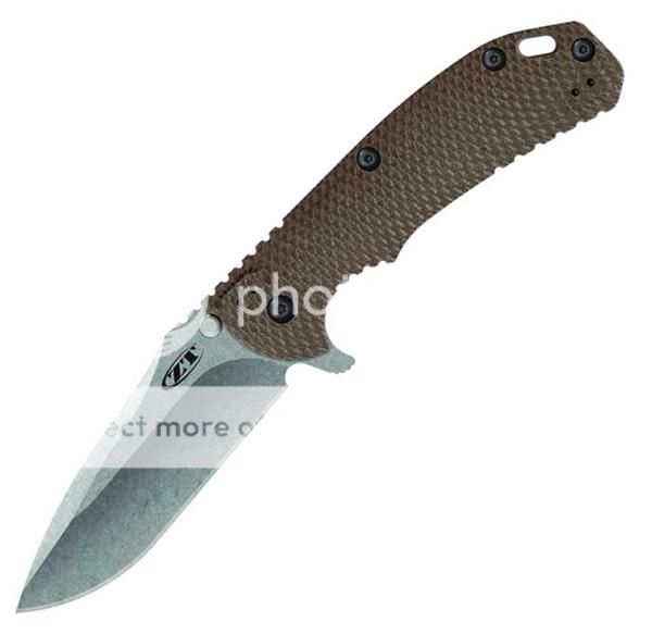 ZT0561.jpg