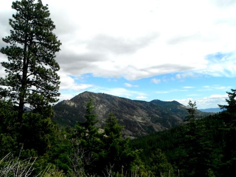 DSCF0427.jpg