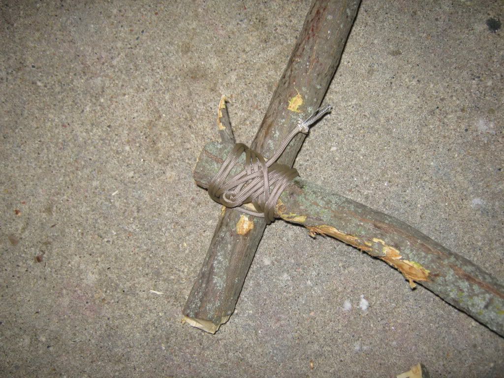 jan2320011008.jpg