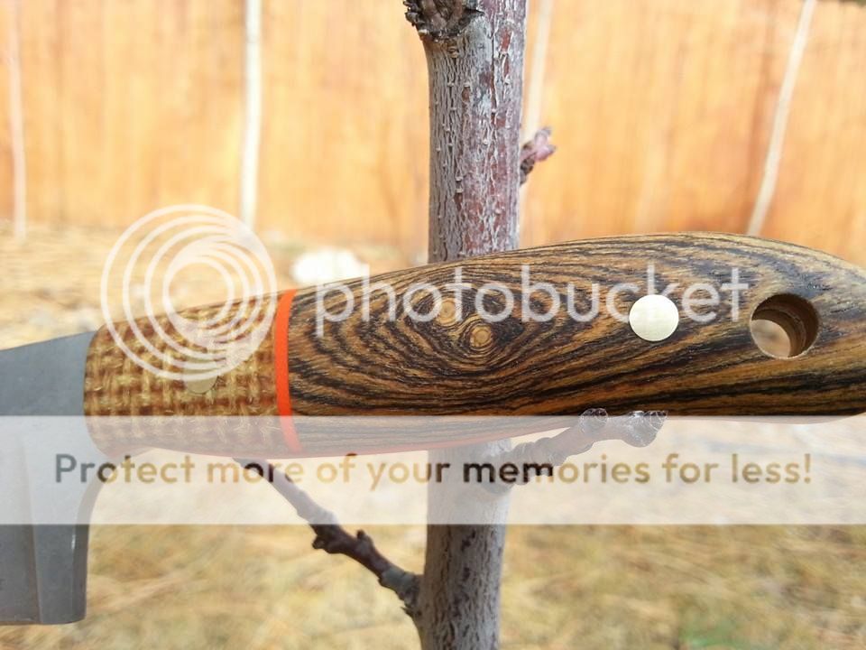 1535421_1448658835350230_999573804_n.jpg