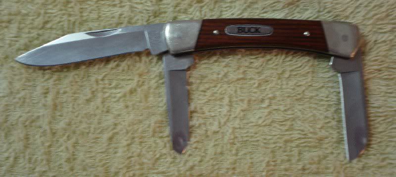 Buck_703_4.jpg
