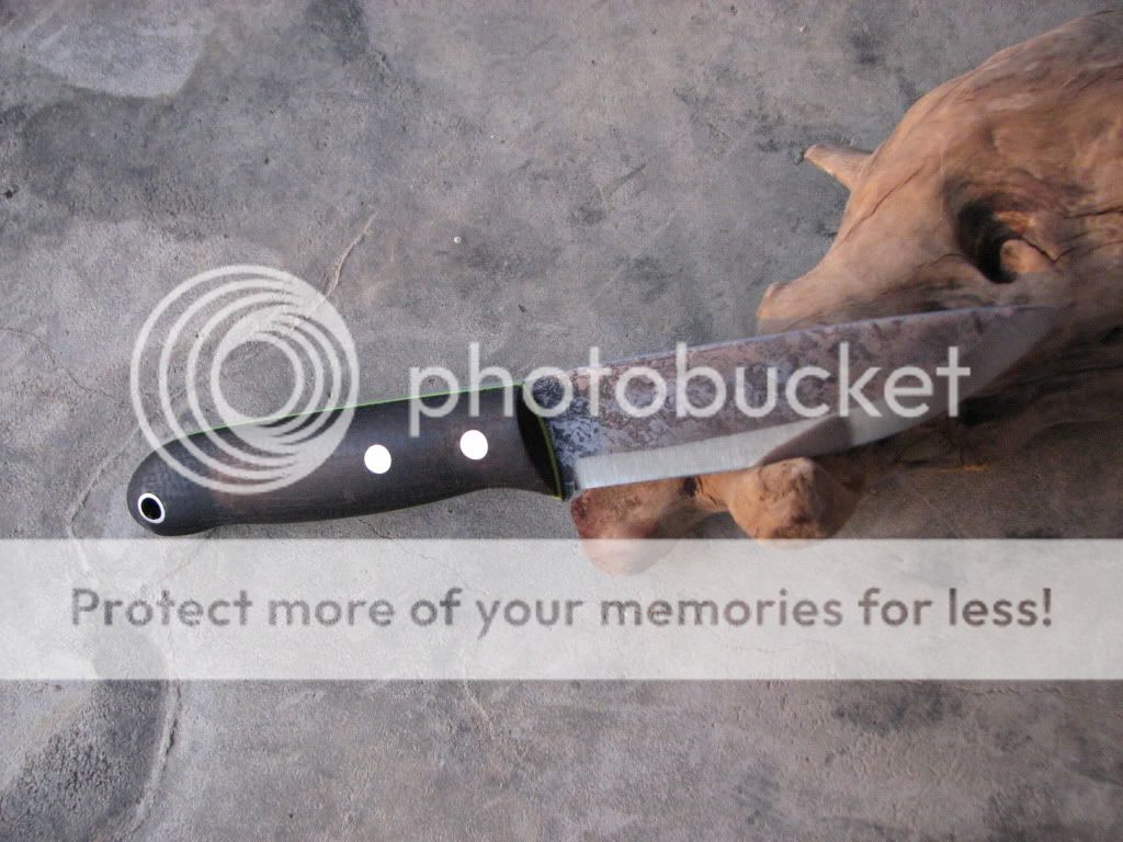 IMG_3733_zps7d4e5023.jpg