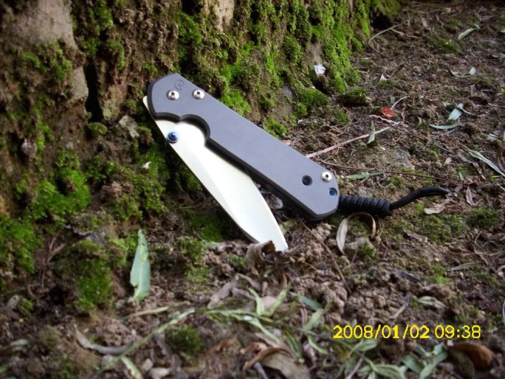 DSCI036915.jpg
