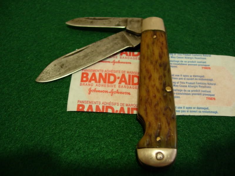 DSCN7514.jpg