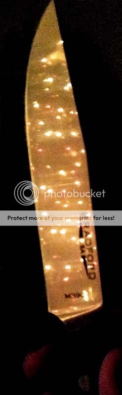 Gatsby_Christmas_Lights.jpg~original