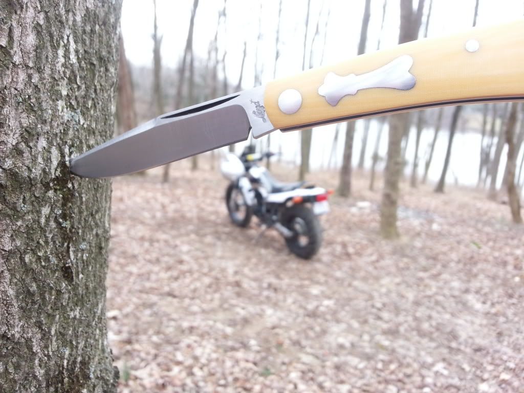 20130310_153248_zpsba6fef46.jpg