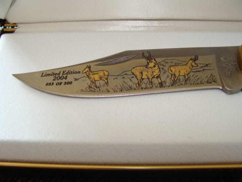 2004antelopeb.jpg