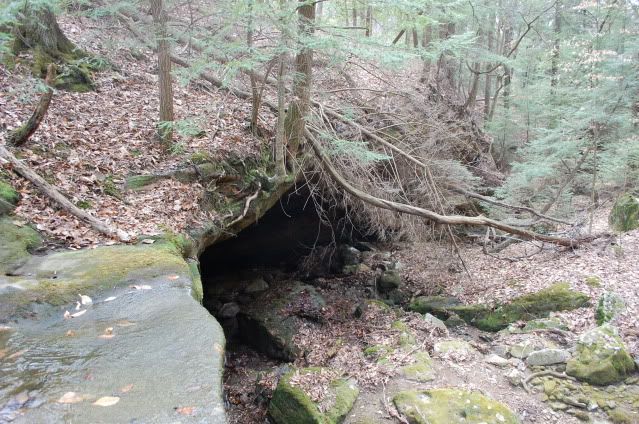 DSC_0047.jpg