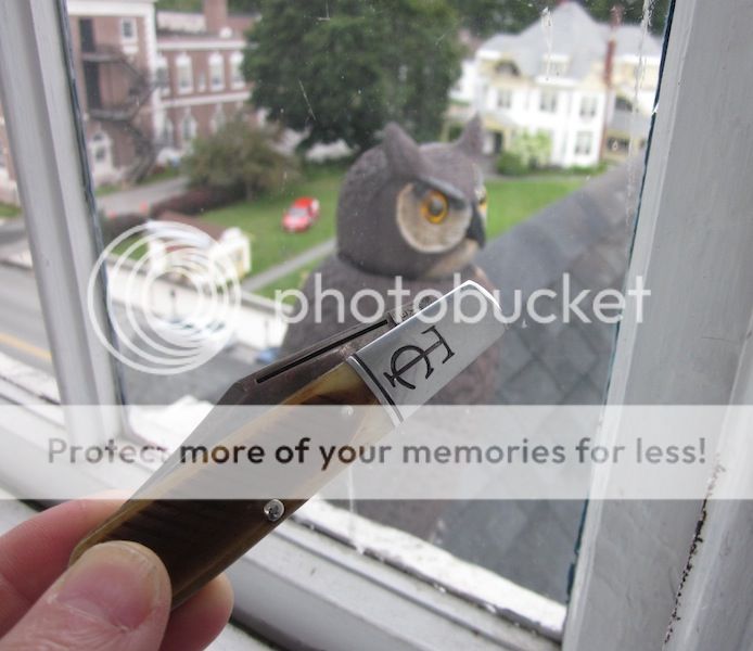 IMG_1319.jpg~original