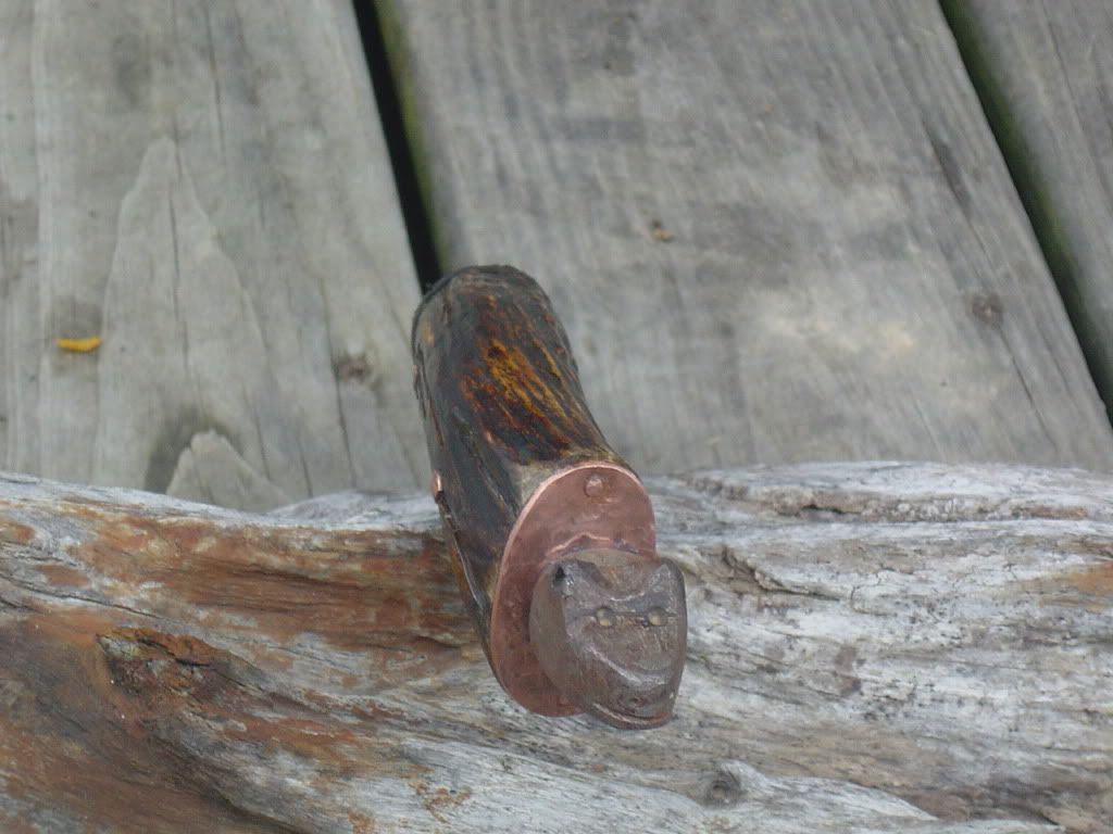 DSC02897.jpg