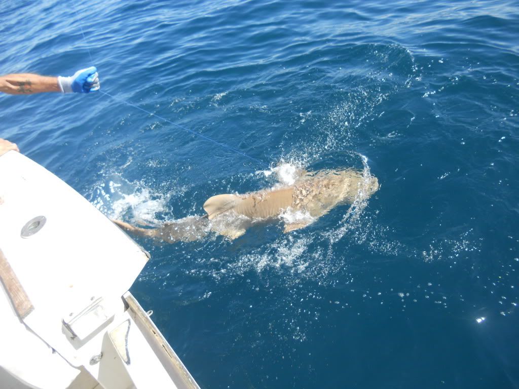 DSCN1708.jpg