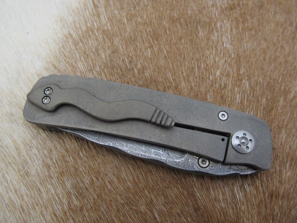 framelockwithsnake007.jpg